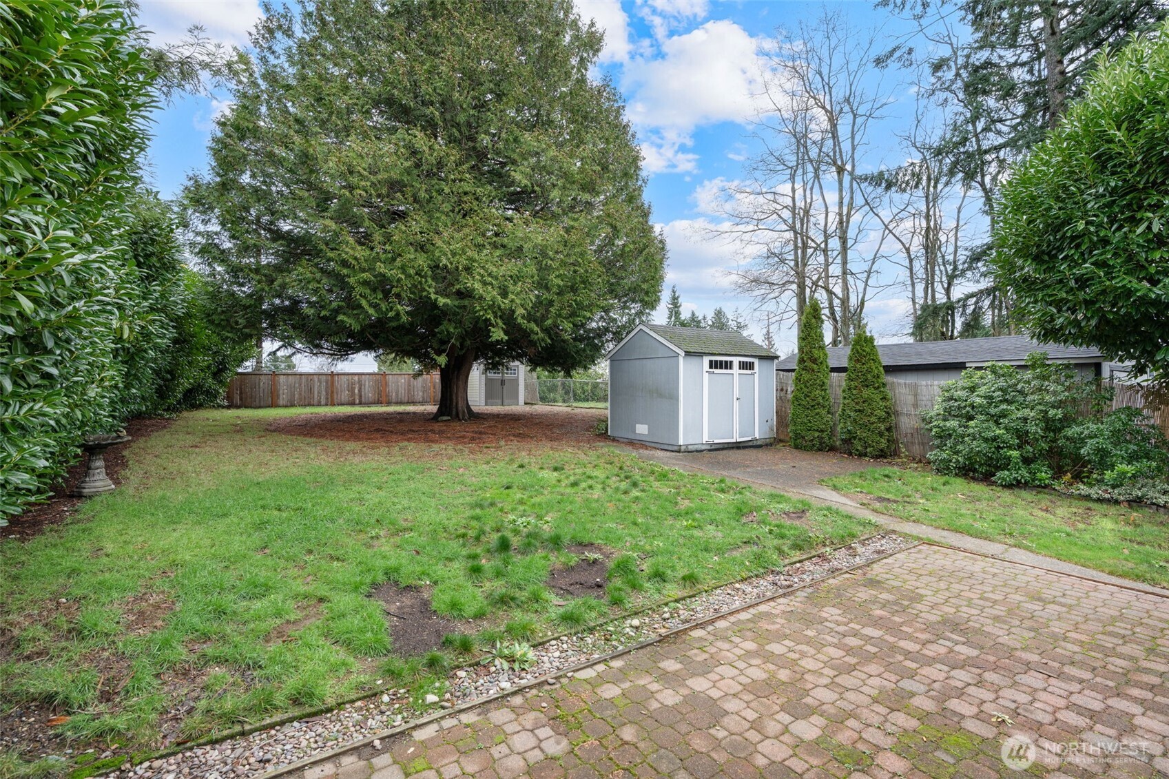 1027 South Rochester Street Tacoma, WA 98465 - Photo 21 of 29 a view of a backyard with large trees