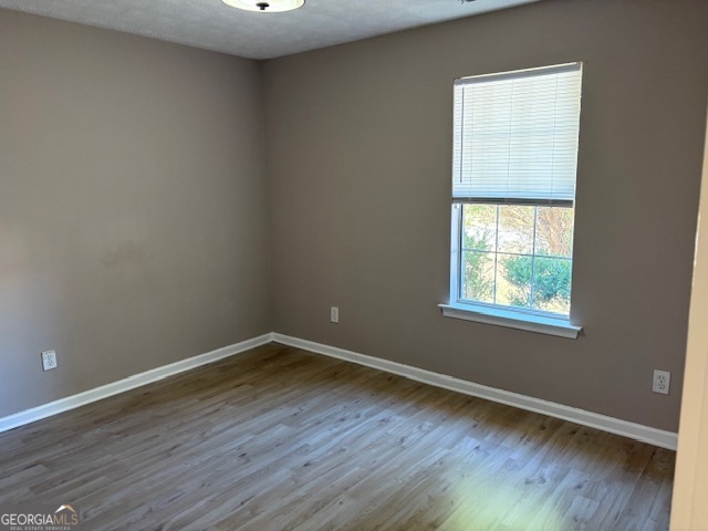 10725 Barberry Drive Hampton, GA 30228 - Photo 11 of 18 an empty room with wooden floor and windows