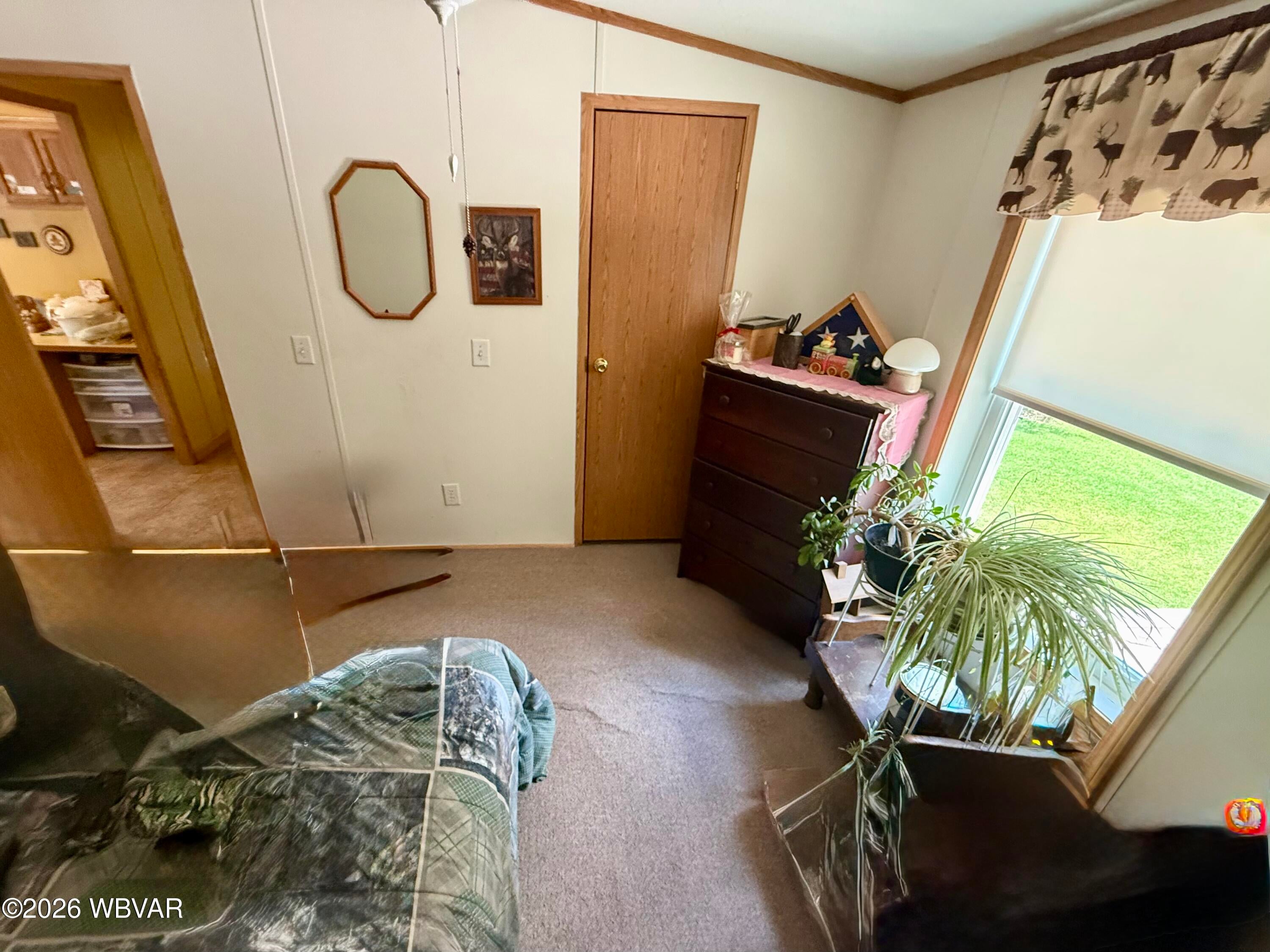 1582 Millview Mountain Road Forksville, PA 18616 - Photo 12 of 22 Gallery Image 12