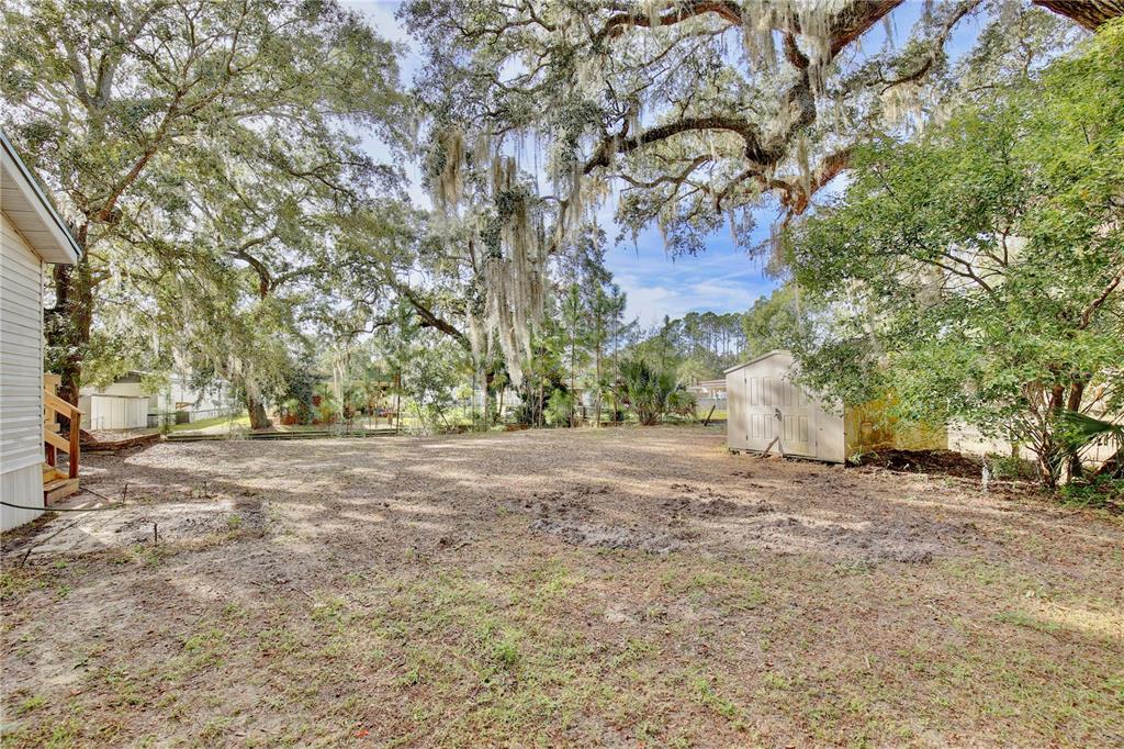 15330 Apache Pass Eustis, FL 32726 - Photo 34 of 44 a view of a yard with a tree