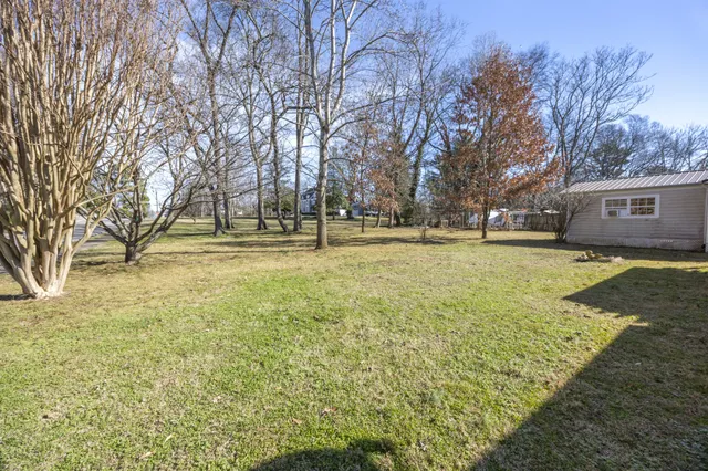 a view of yard with tree and a oven