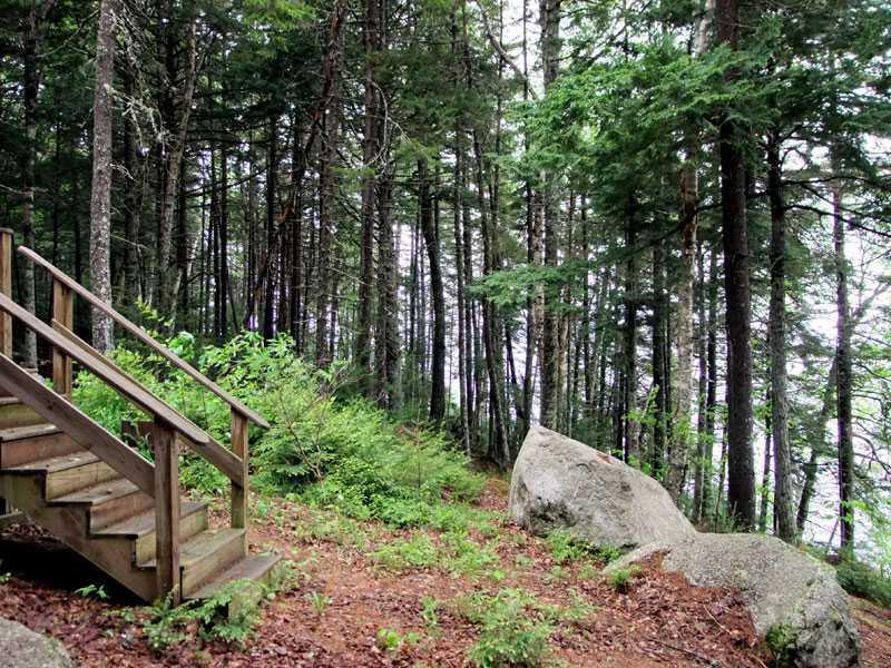272 Sandy Beach Road Danforth, ME 04424 - Photo 11 of 35 Land/Lot.