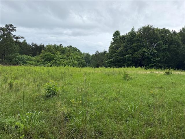 0 East Bell Road Amite, LA 70422 - Photo 4 of 8