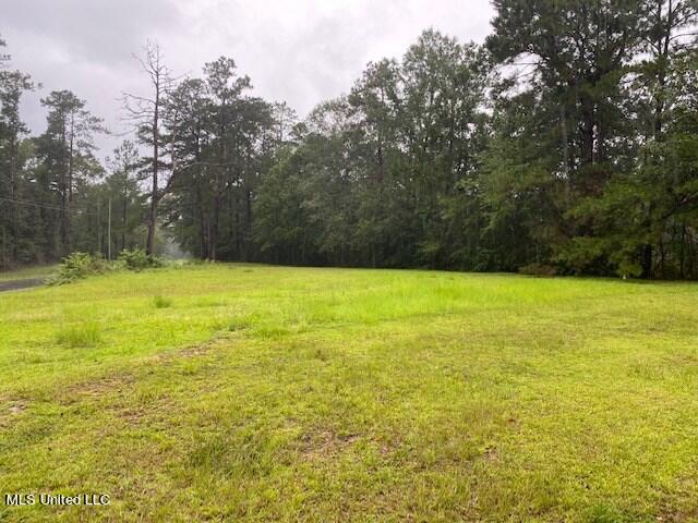 3 Oscar Smith Road Carriere, MS 39426 - Photo 1 of 1 Main View