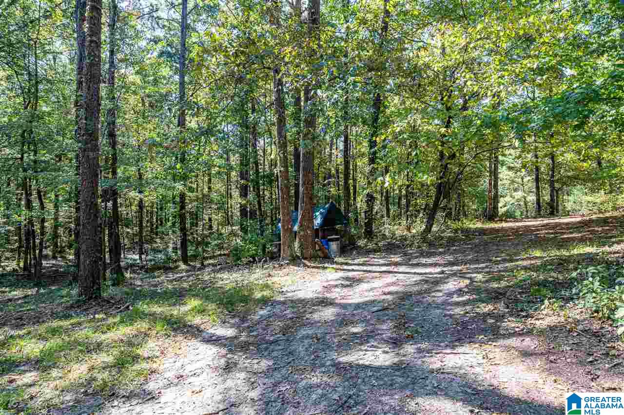 85 Laurel Road Calera, AL 35040 - Photo 37 of 43