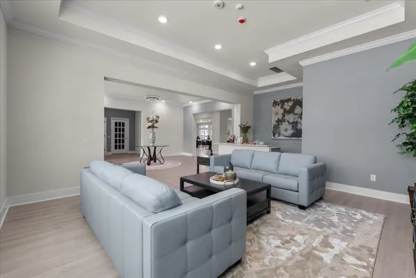 a living room with furniture and a couch