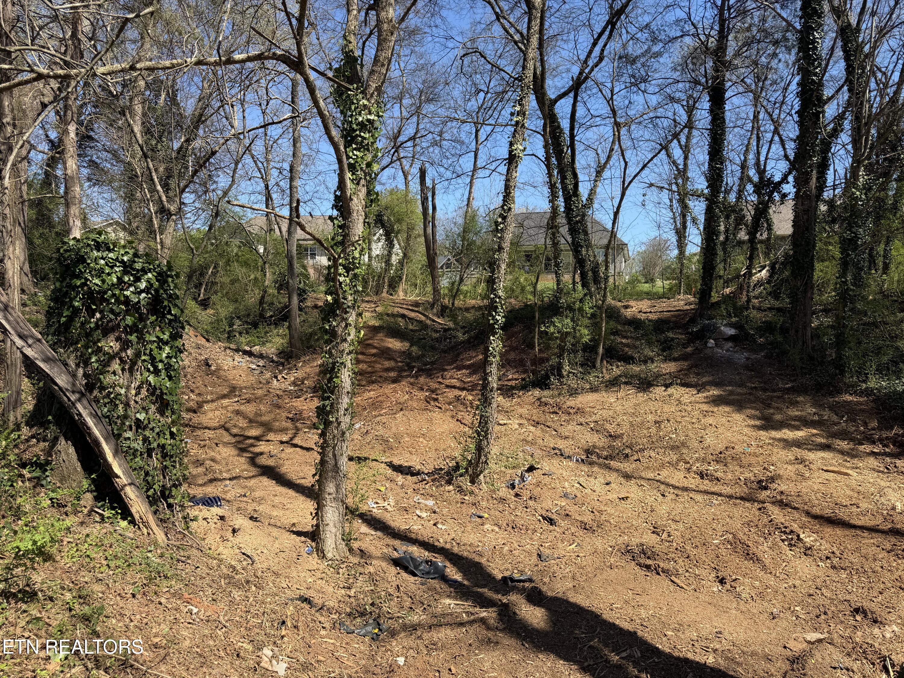 210 Chatuga Way Loudon, TN 37774 - Photo 2 of 10 IMG_0489