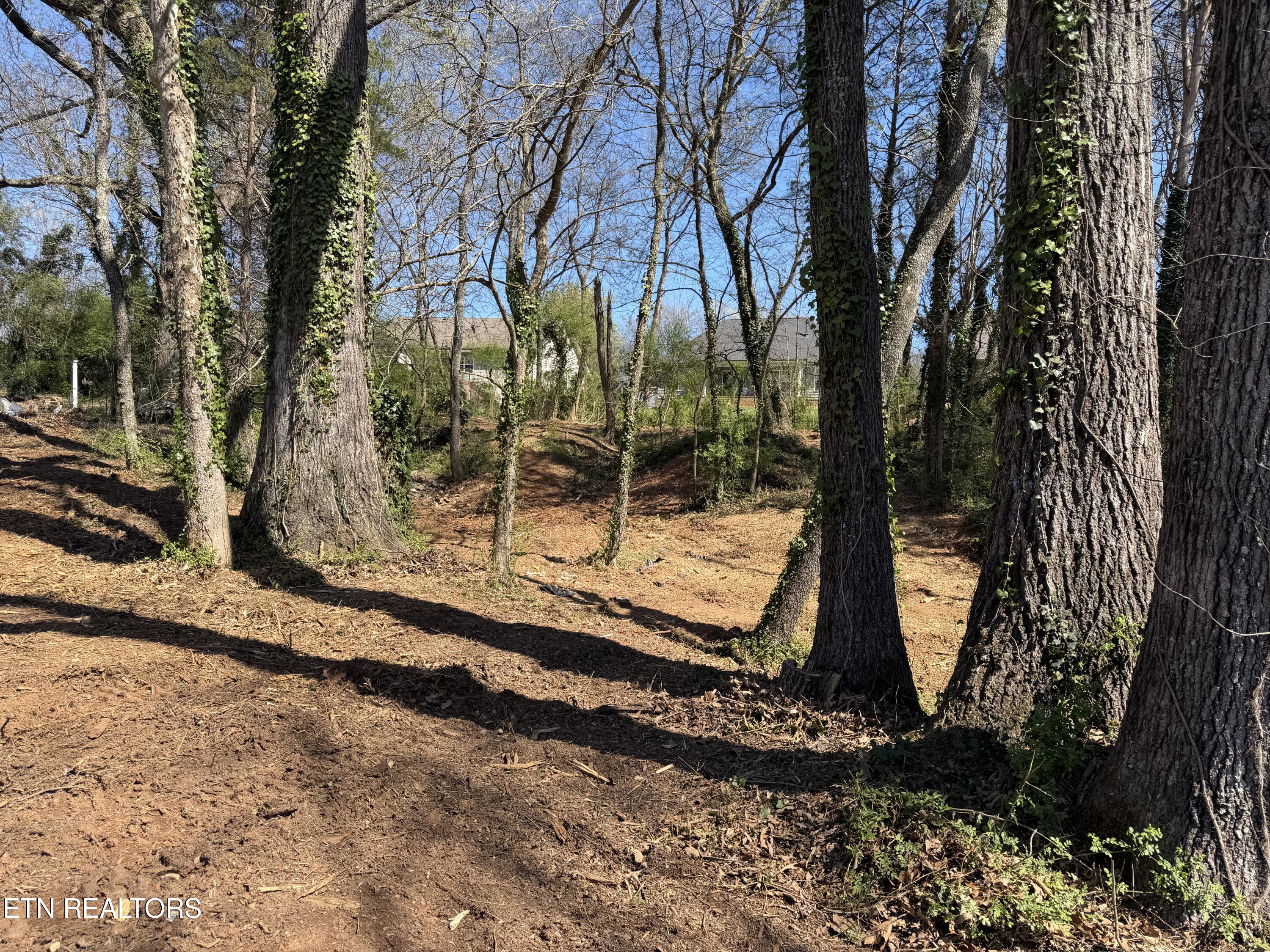 210 Chatuga Way Loudon, TN 37774 - Photo 3 of 10 IMG_0488