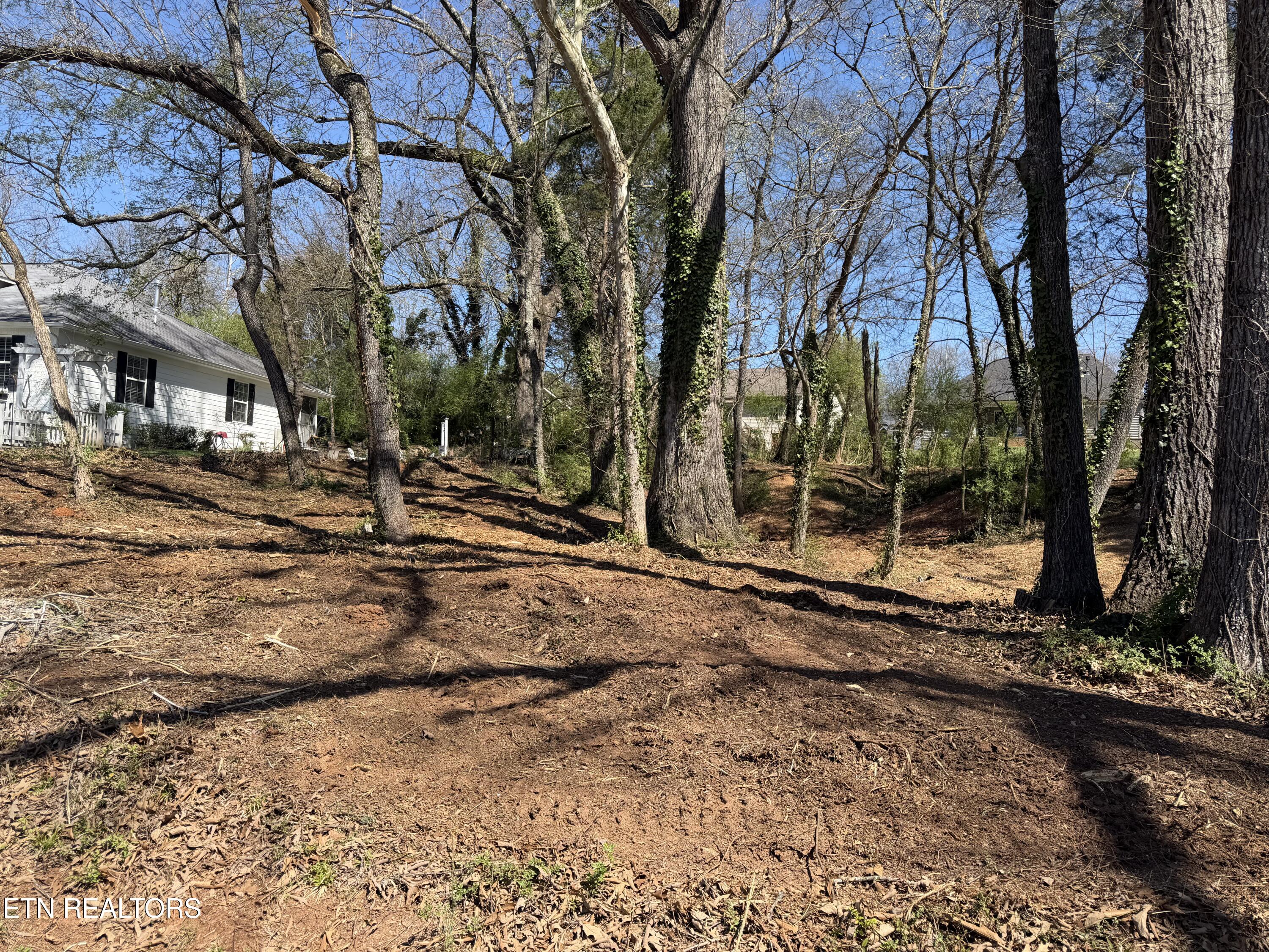 210 Chatuga Way Loudon, TN 37774 - Photo 4 of 10 IMG_0487