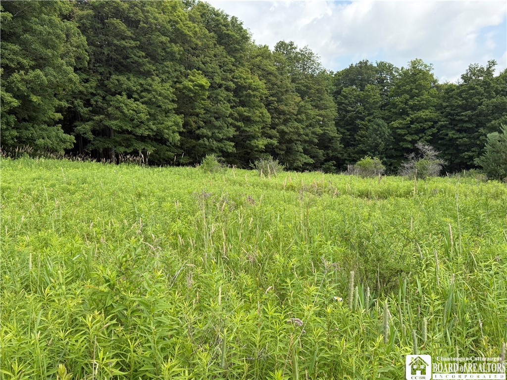 2751 Canfield Road Cohocton, NY 14826 - Photo 32 of 50