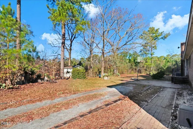 a view of a yard with plants and trees