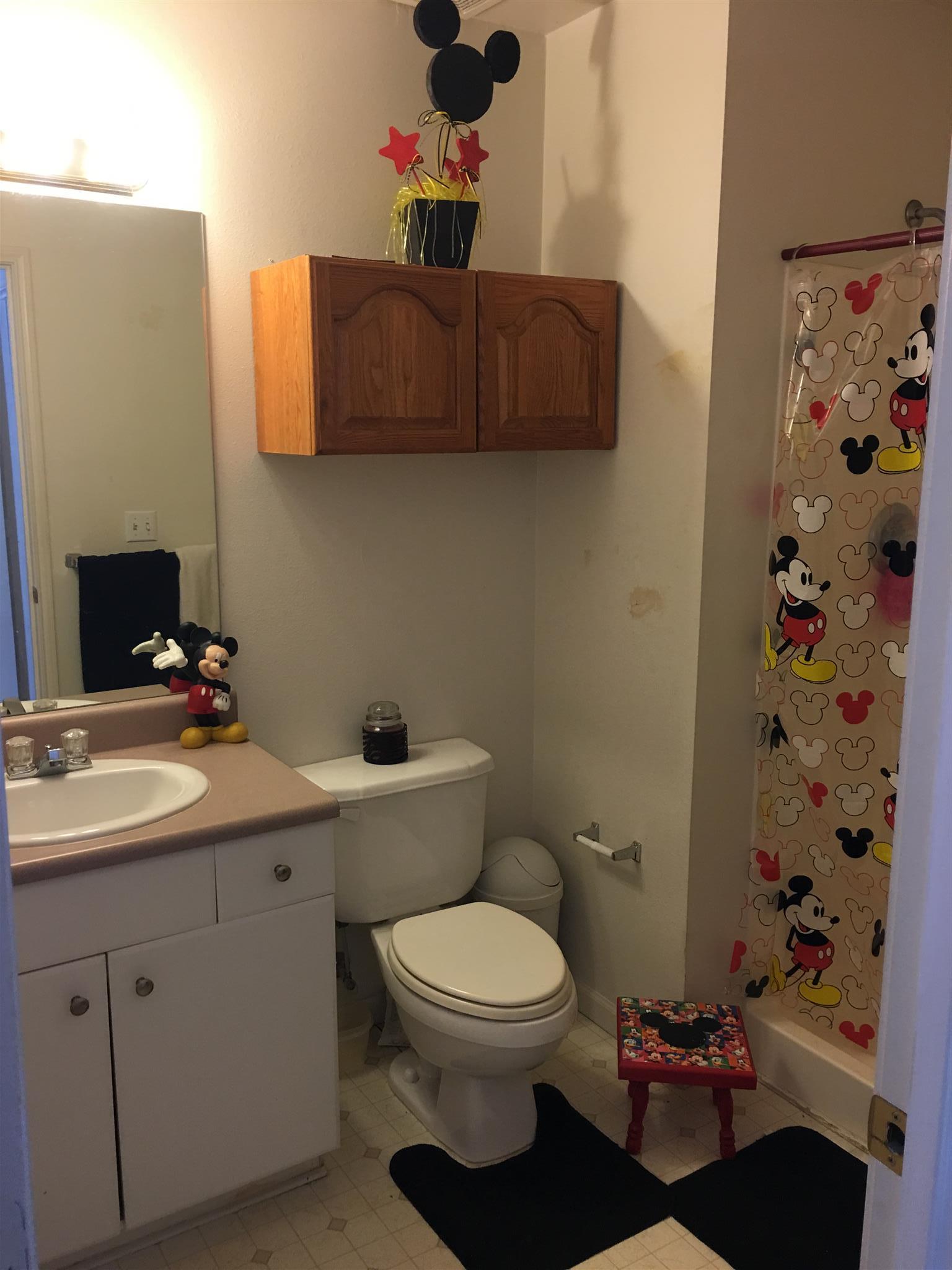 7346 Planters Road Fairview, TN 37062 - Photo 17 of 20 Guest Bathroom