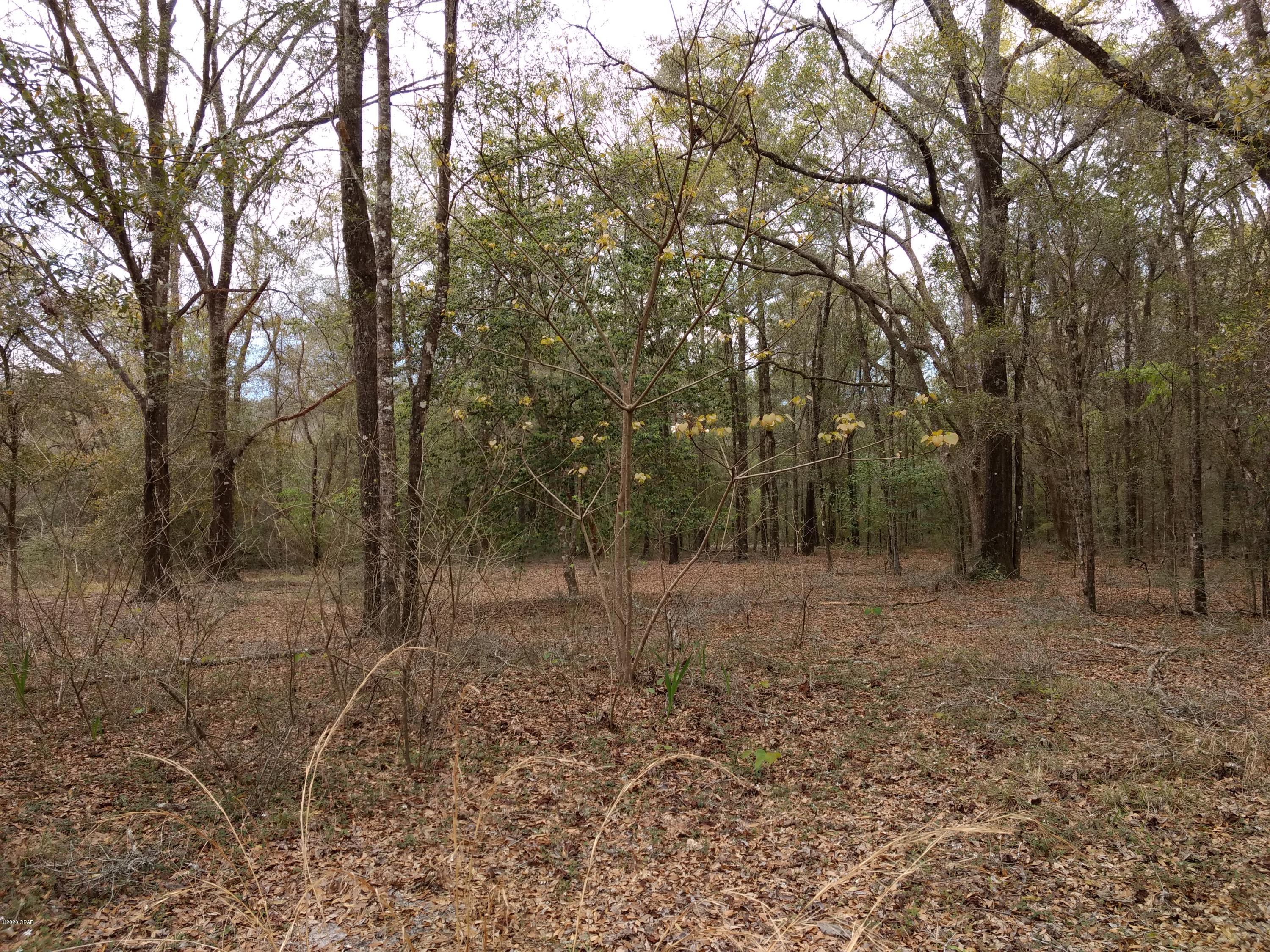 4365 Simmons Road Caryville, FL 32427 - Photo 2 of 12 Gallery Image 2