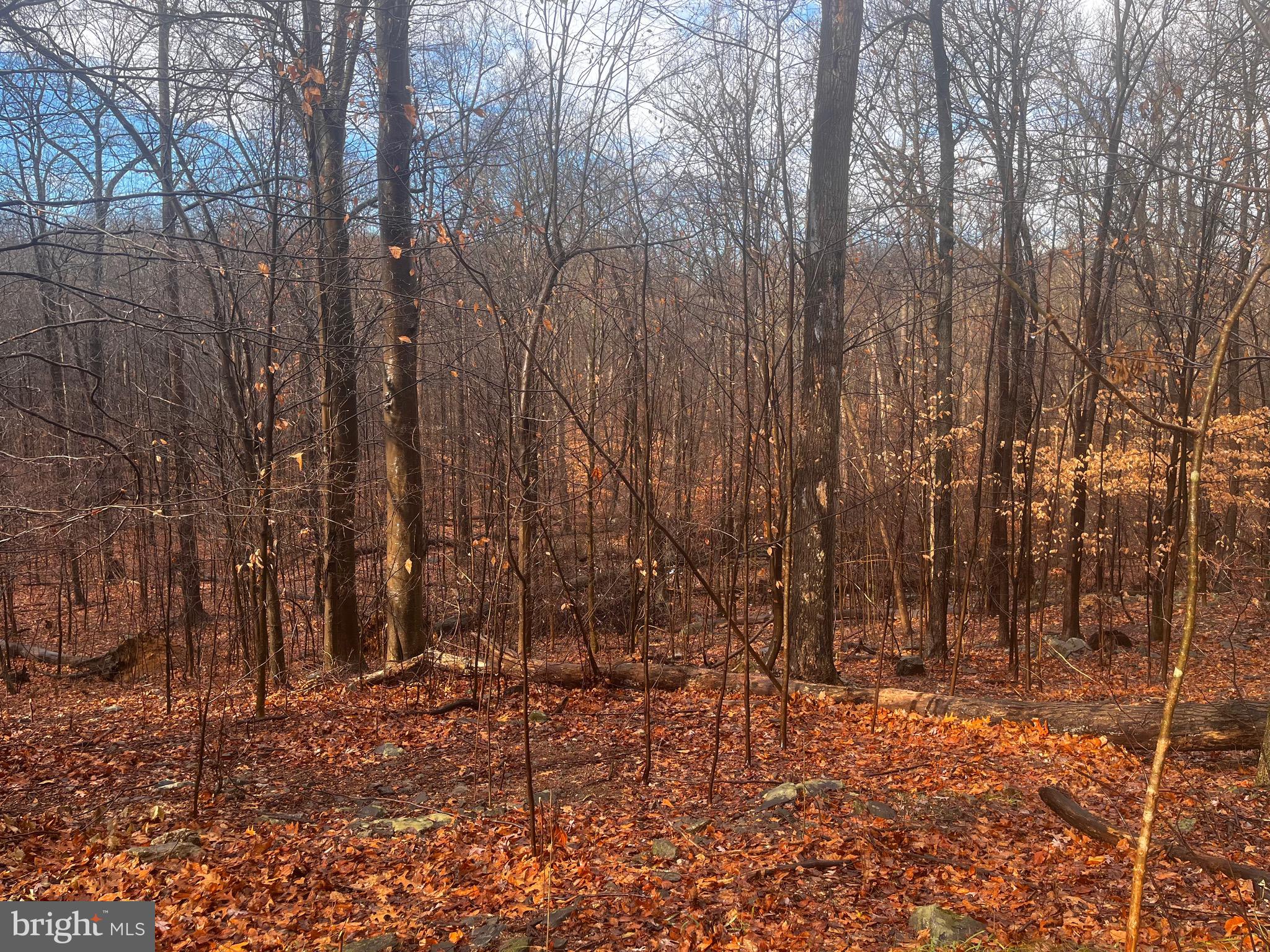 327 Hibernia Road Coatesville, PA 19320 - Photo 6 of 10