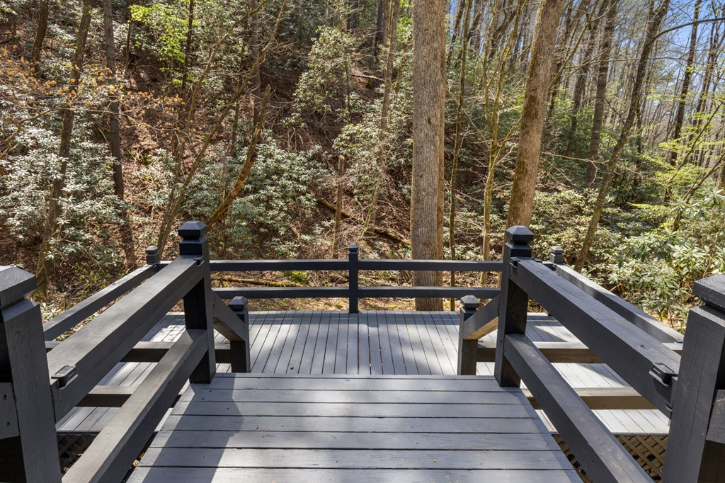 487 Walkabout Creek Road Morganton, GA 30560 - Photo 18 of 27