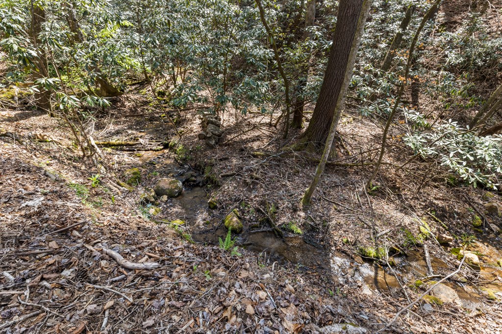 487 Walkabout Creek Road Morganton, GA 30560 - Photo 19 of 27