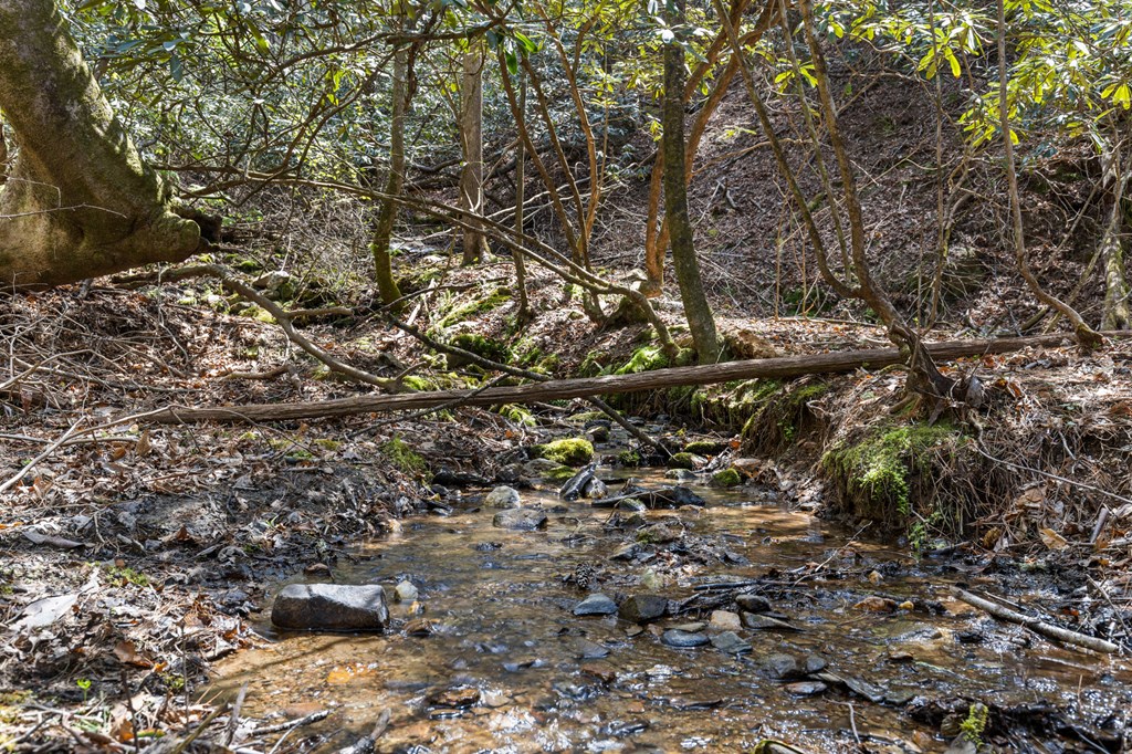 487 Walkabout Creek Road Morganton, GA 30560 - Photo 20 of 27