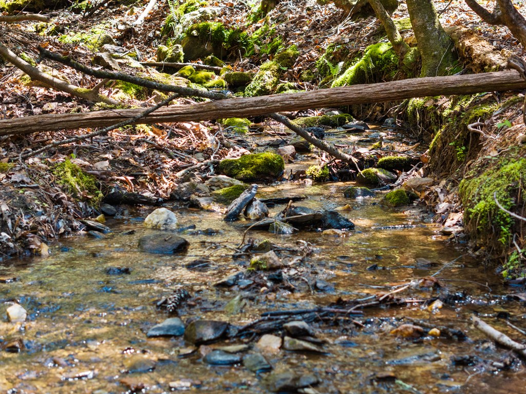 487 Walkabout Creek Road Morganton, GA 30560 - Photo 2 of 27