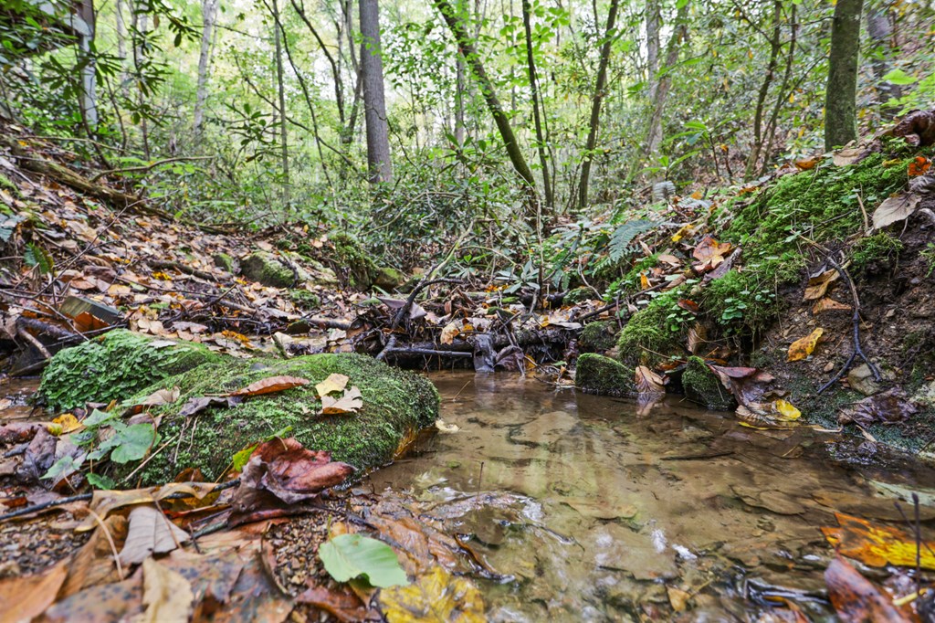 487 Walkabout Creek Road Morganton, GA 30560 - Photo 21 of 27