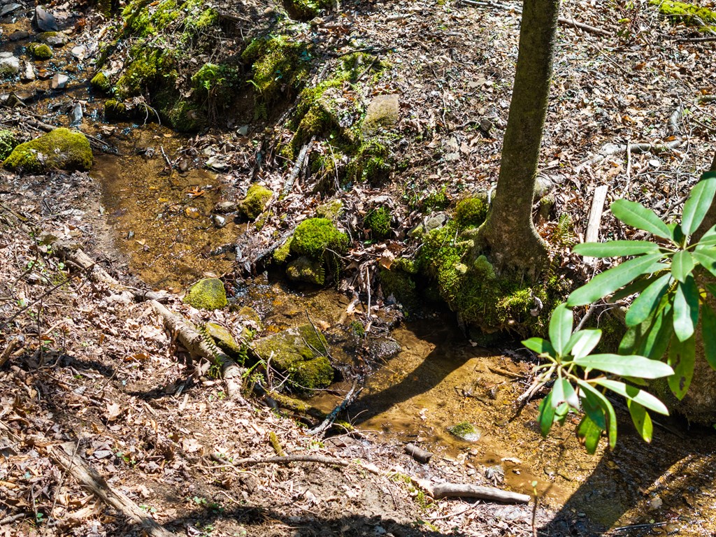 487 Walkabout Creek Road Morganton, GA 30560 - Photo 22 of 27