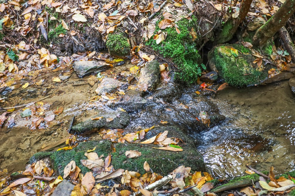 487 Walkabout Creek Road Morganton, GA 30560 - Photo 23 of 27