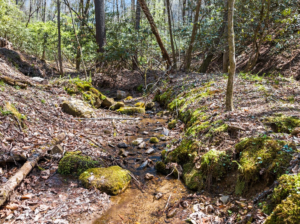 487 Walkabout Creek Road Morganton, GA 30560 - Photo 24 of 27