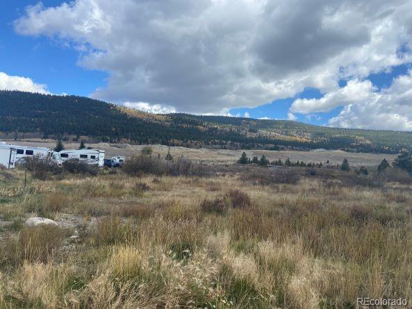 Singleton Road Alma, CO 80420 - Photo 1 of 4