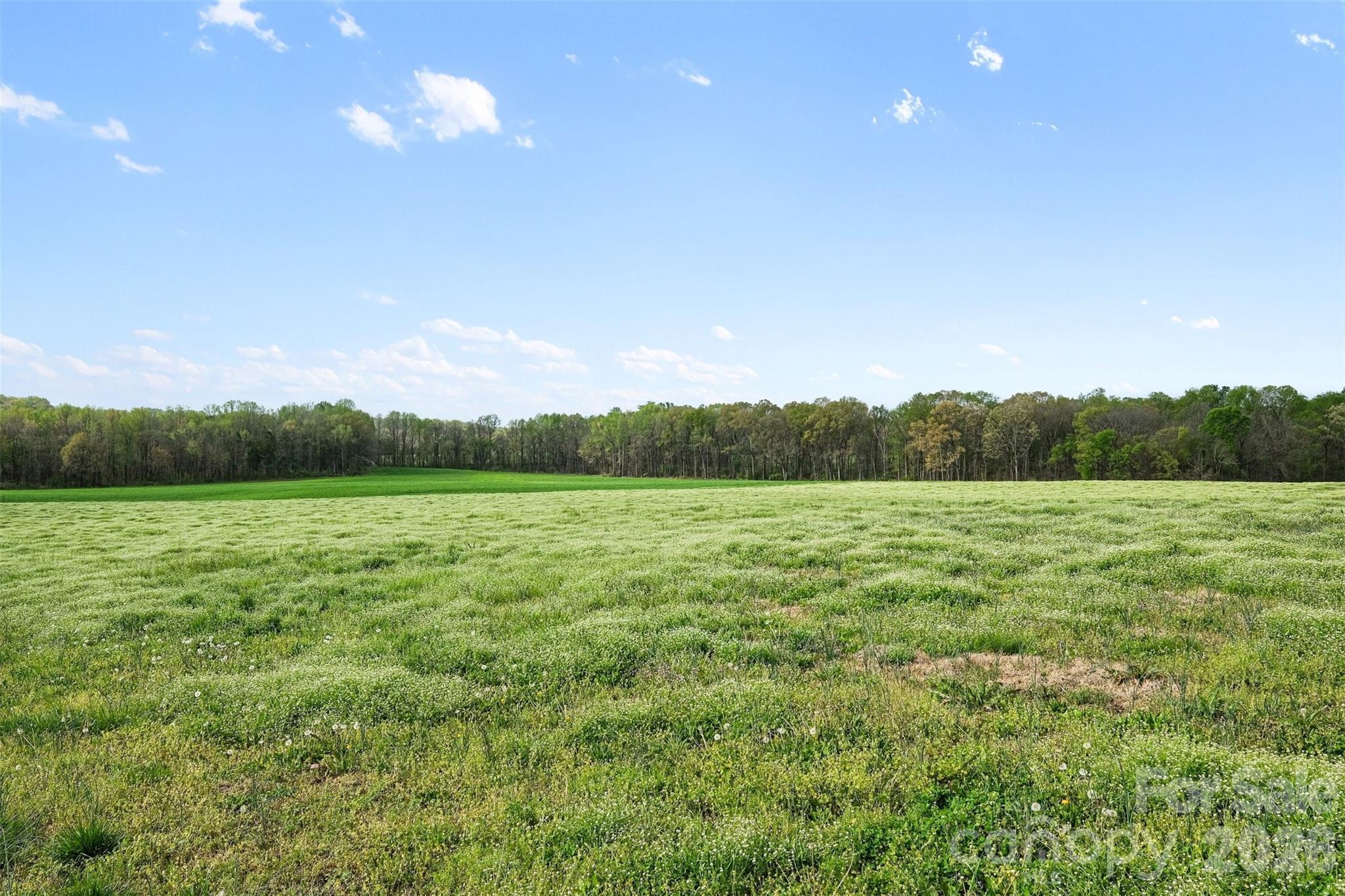 0 White Road Mount Ulla, NC 28125 - Photo 6 of 22