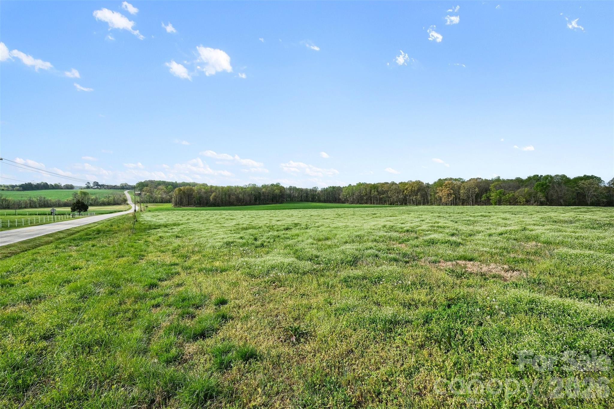 0 White Road Mount Ulla, NC 28125 - Photo 8 of 22