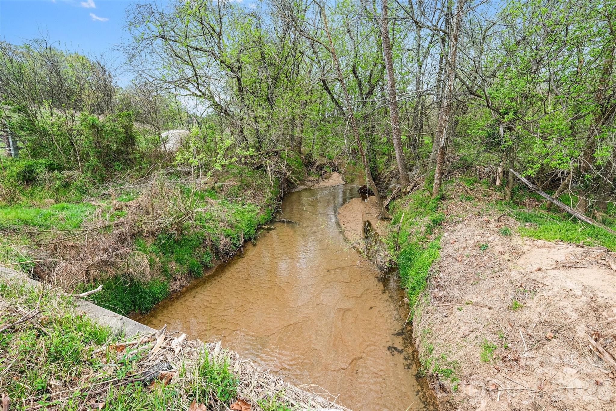 0 White Road Mount Ulla, NC 28125 - Photo 10 of 22