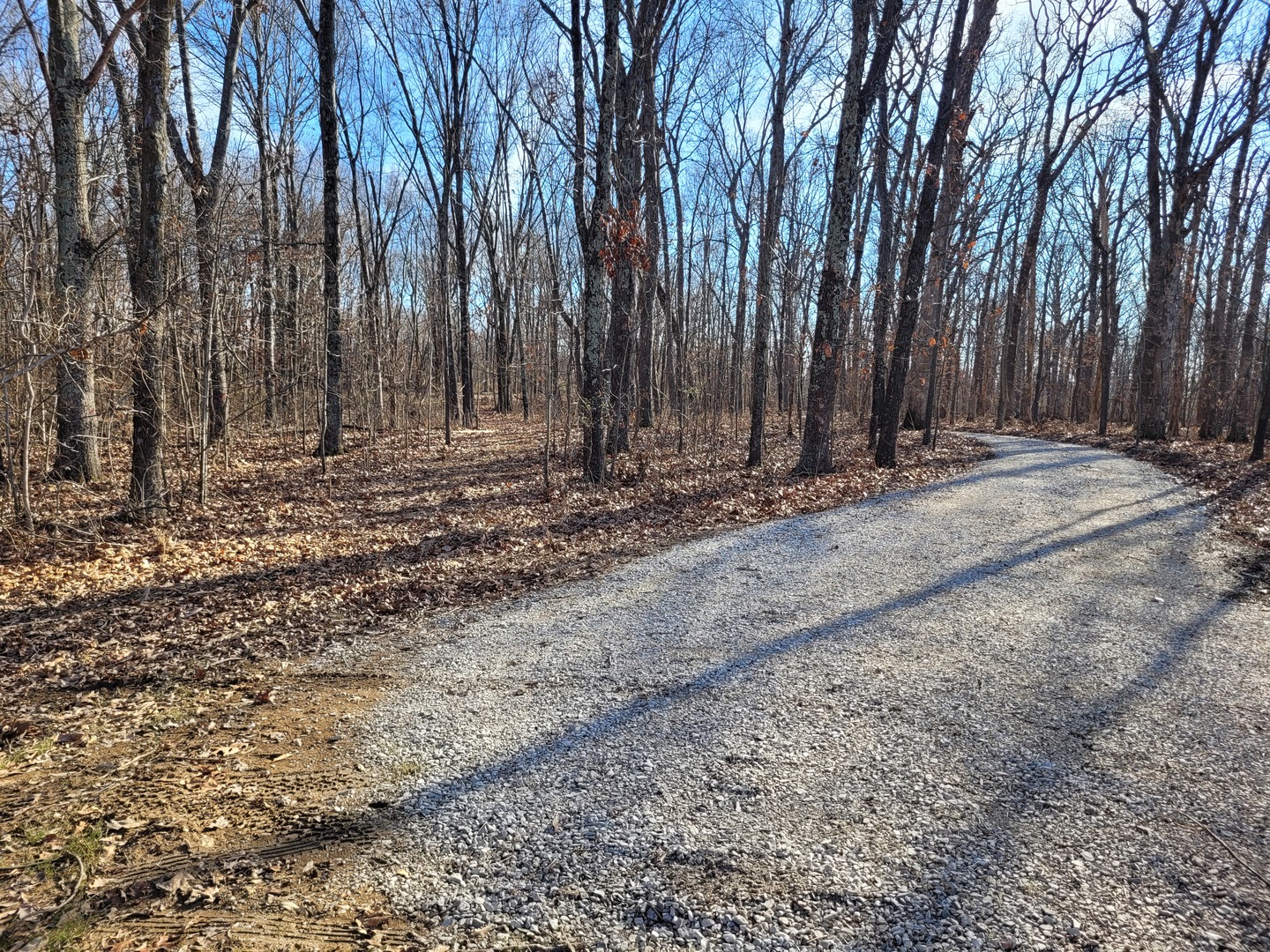242 Highway 37 Kell, IL 62853 - Photo 1 of 12 a view of a backyard with large trees