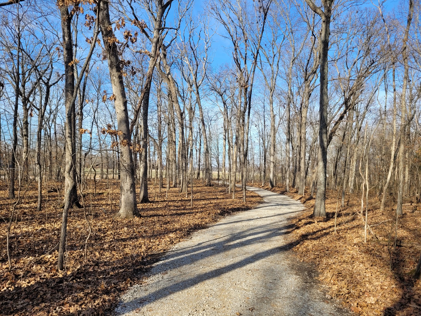 242 Highway 37 Kell, IL 62853 - Photo 12 of 12 a view of a backyard of the house