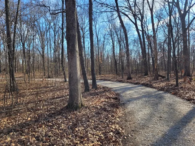 a view of outdoor space with trees