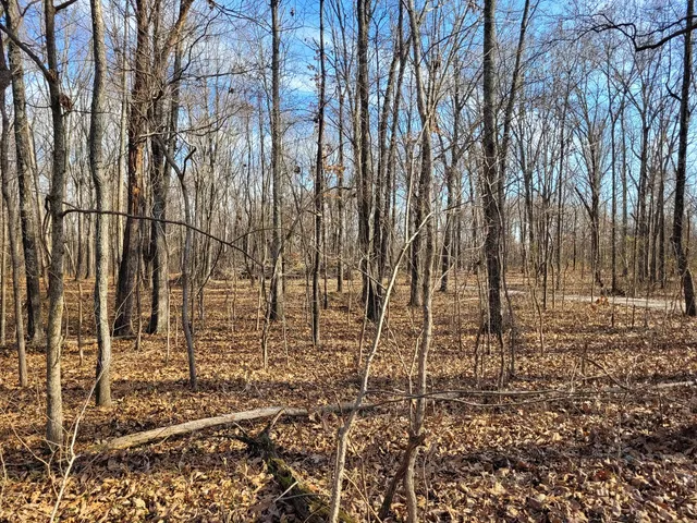 a view of a pathway with a yard