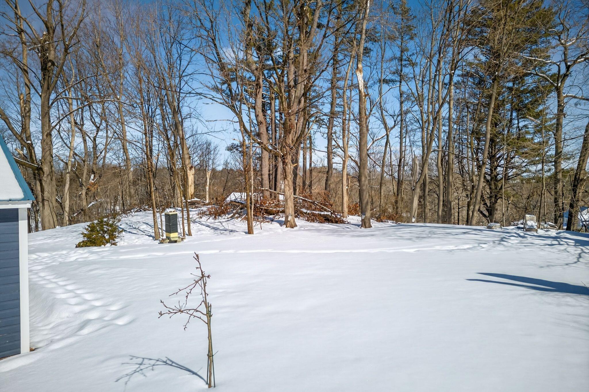 80 Mosher Road Gorham, ME 04038 - Photo 46 of 56 Yard