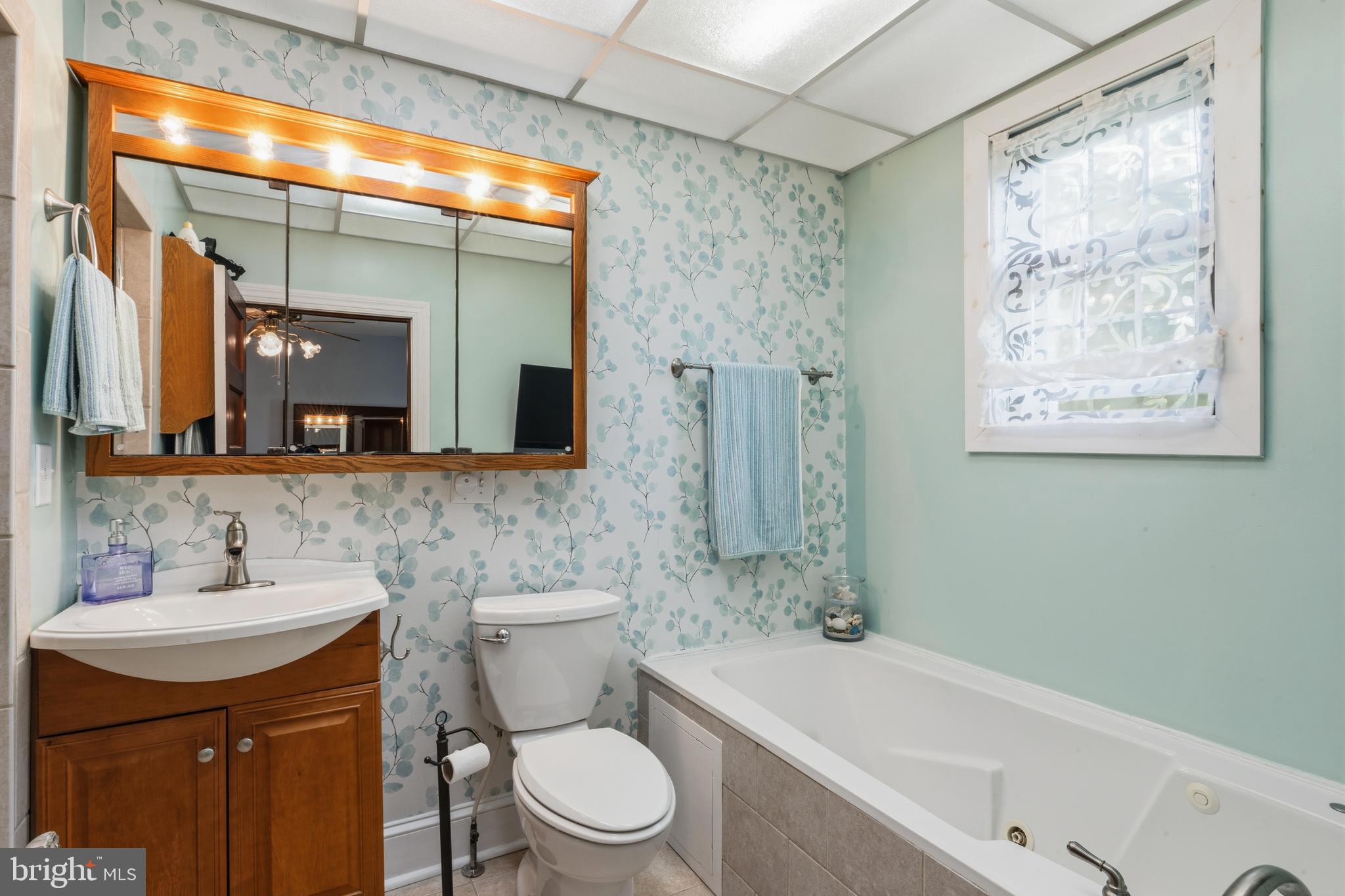 3593 Strasburg Road Strasburg, VA 22657 - Photo 33 of 113 a bathroom with a sink a toilet and shower