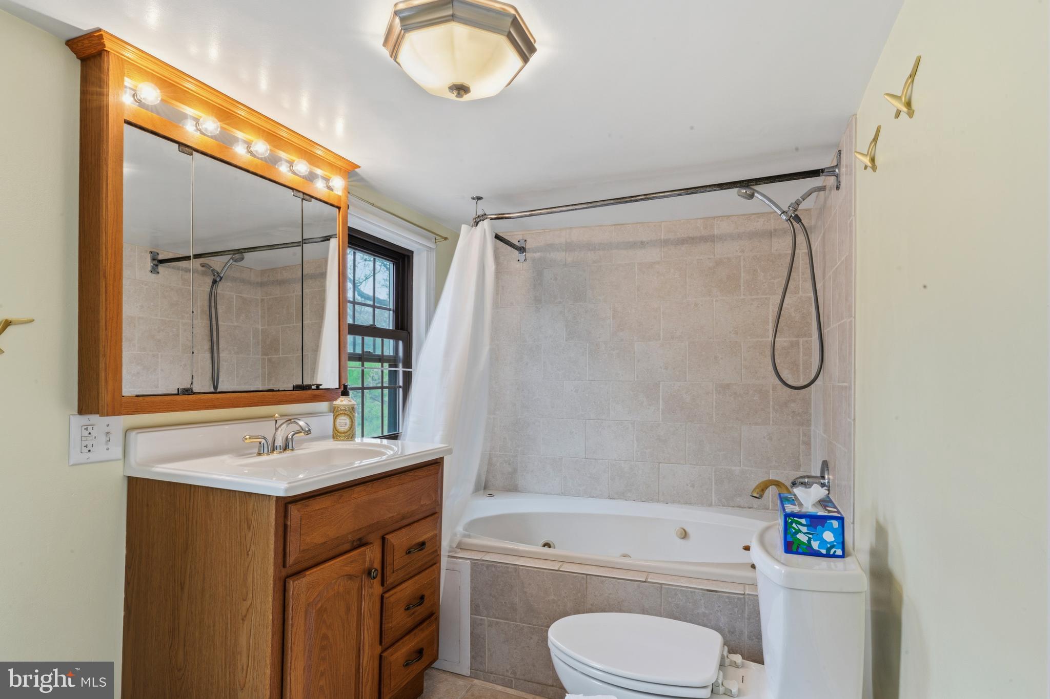 3593 Strasburg Road Strasburg, VA 22657 - Photo 40 of 113 a bathroom with a granite countertop sink toilet and shower