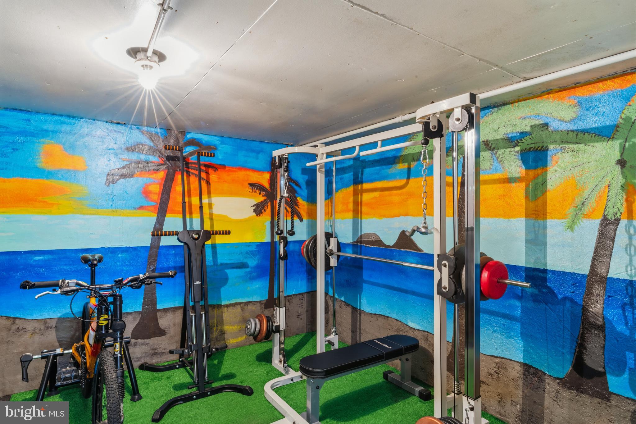 3593 Strasburg Road Strasburg, VA 22657 - Photo 60 of 113 Basement gym!