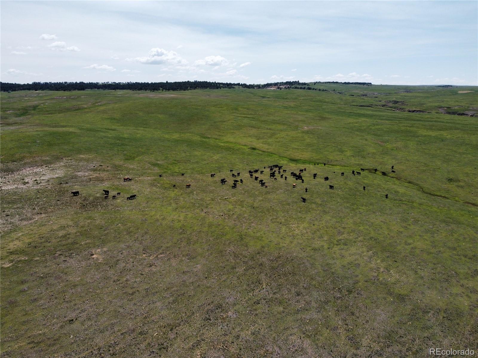 17 County Road 77 Calhan, CO 80808 - Photo 12 of 13 a view of a large body of water
