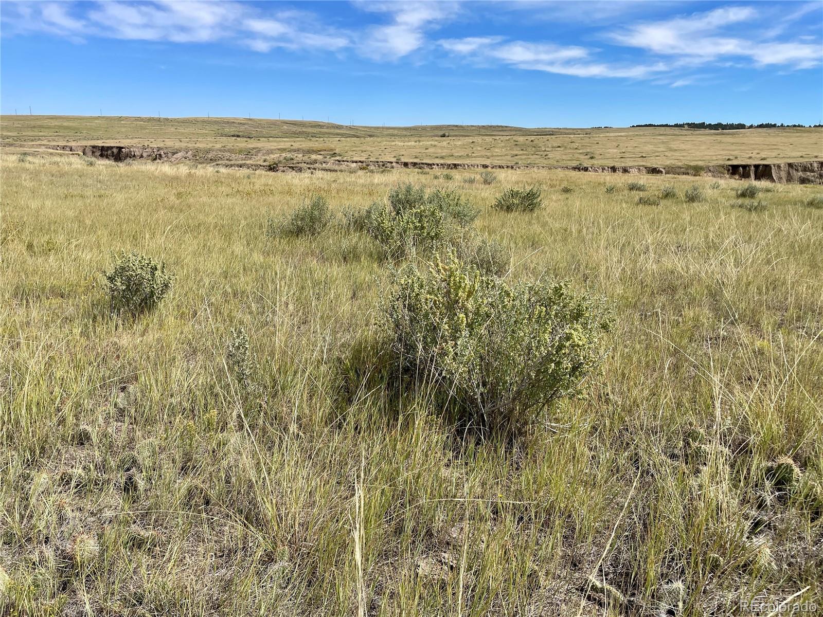 17 County Road 77 Calhan, CO 80808 - Photo 6 of 13 a view of an ocean