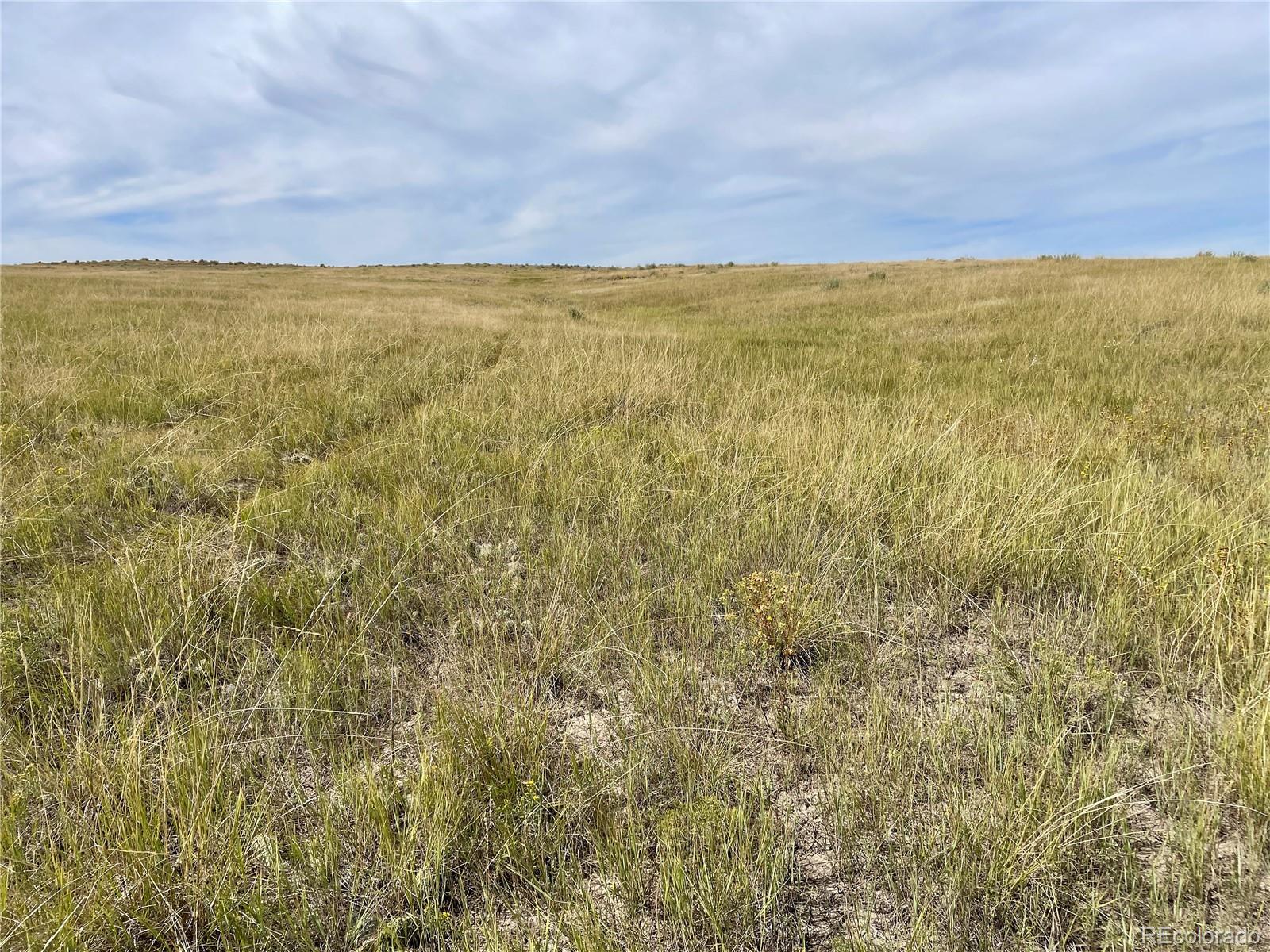 17 County Road 77 Calhan, CO 80808 - Photo 10 of 13 a view of an ocean