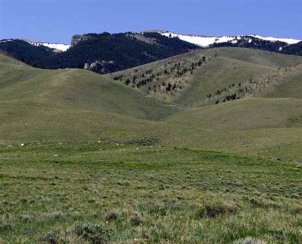 1500 Robertson Draw Road Red Lodge, MT 59068 - Photo 1 of 1 Gallery Image 1