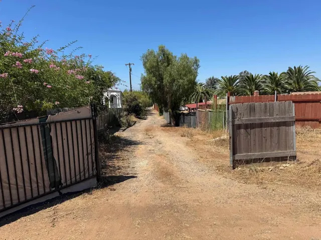 a view of a backyard with a tree
