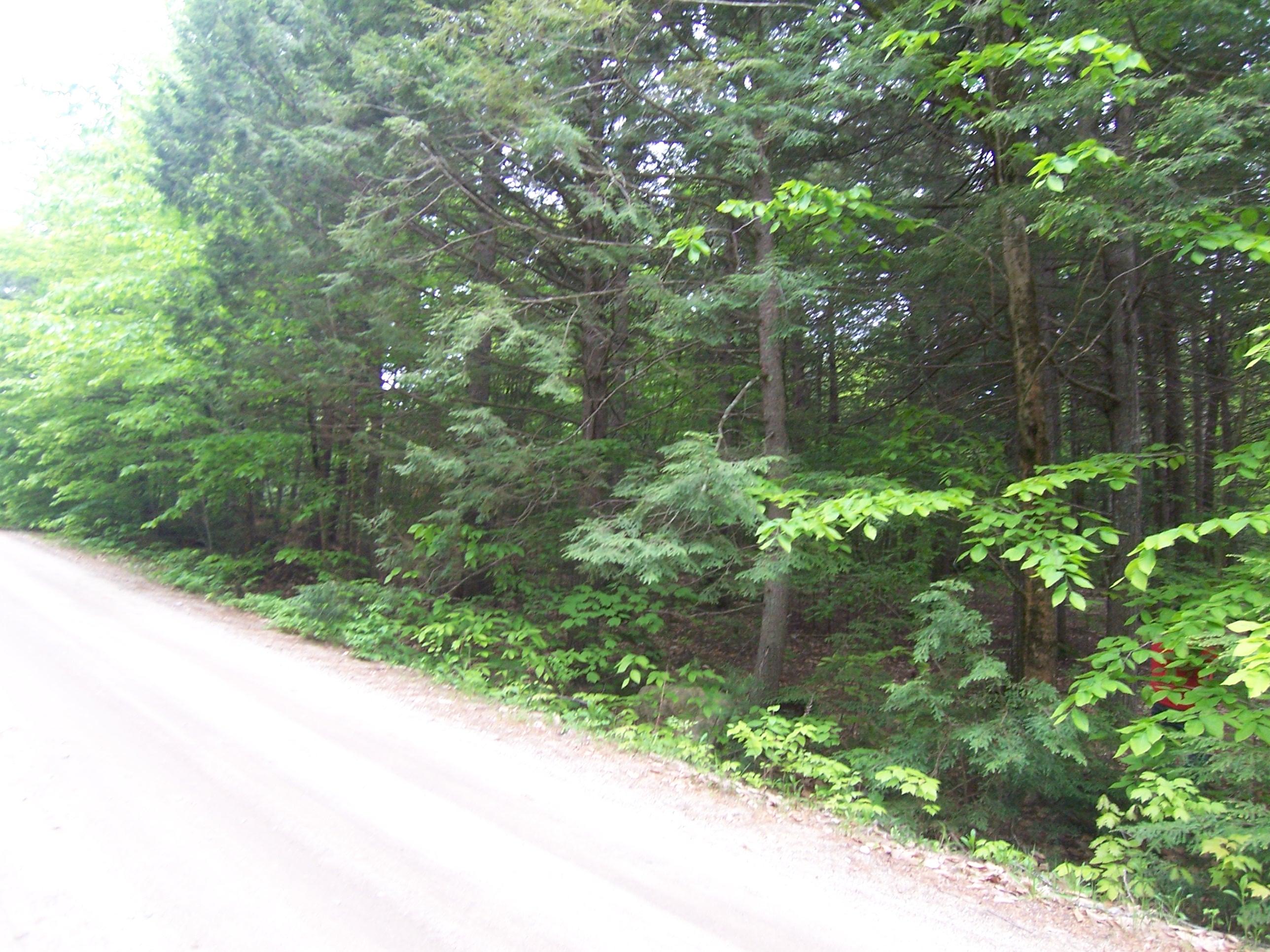 Lot 2 Shore Road Otisfield, ME 04270 - Photo 5 of 7 105_6600