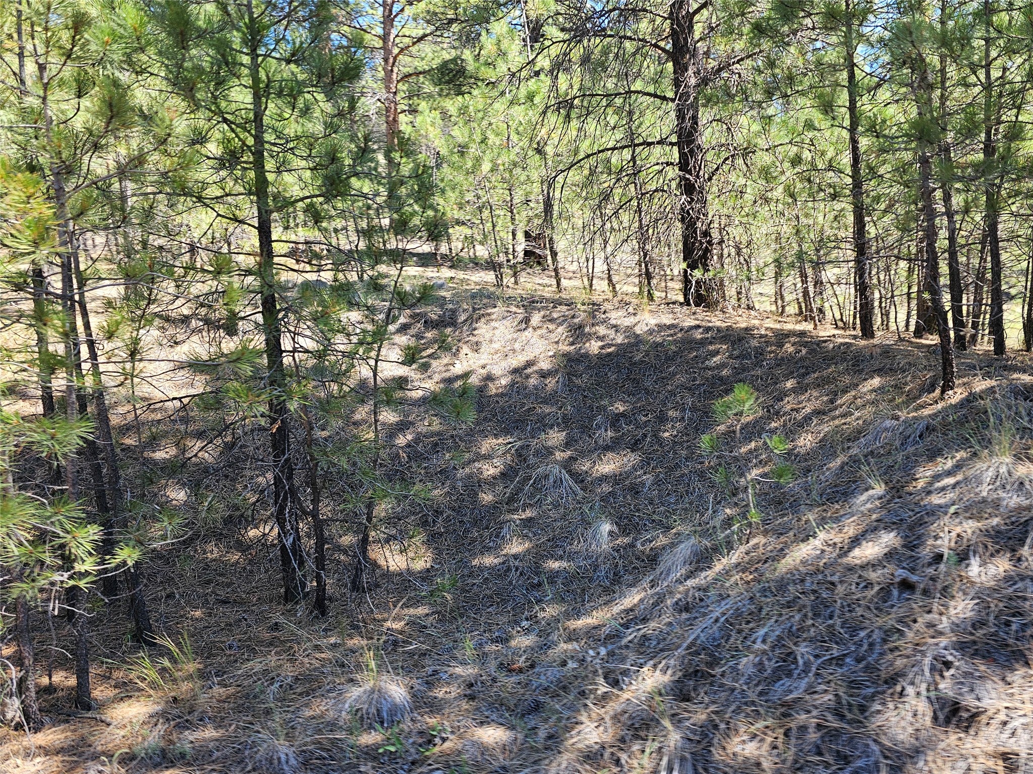 Nhn Upper Sawmill Creek Road Cascade, MT 59421 - Photo 5 of 28 Gallery Image 5