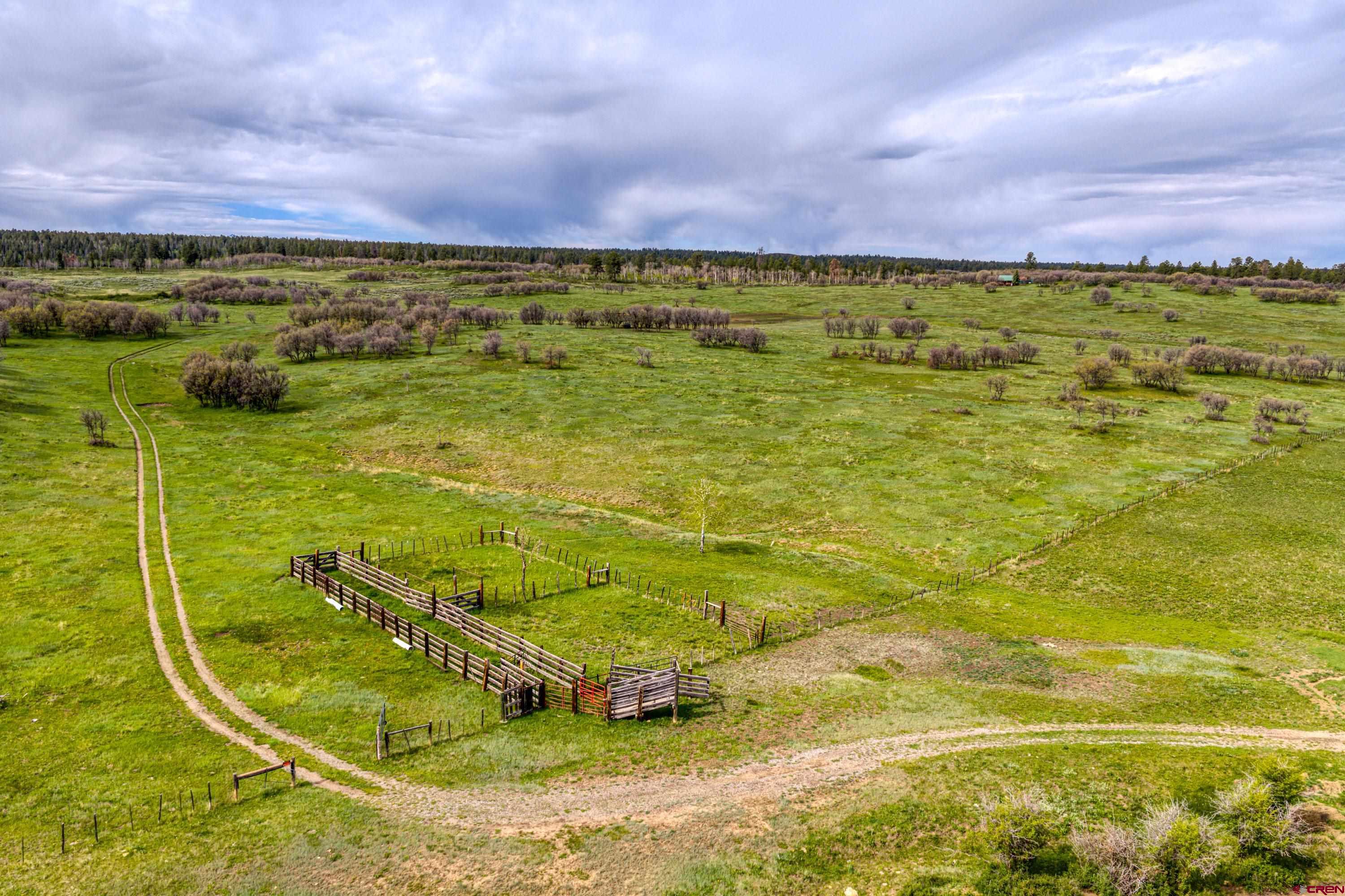 Tbd Hanks Valley Road Montrose, CO 81403 - Photo 23 of 45