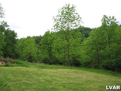a view of a field with a tree