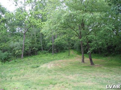 2423 Post Road Allentown, PA 18106 - Photo 3 of 3 a view of outdoor space with green field and trees