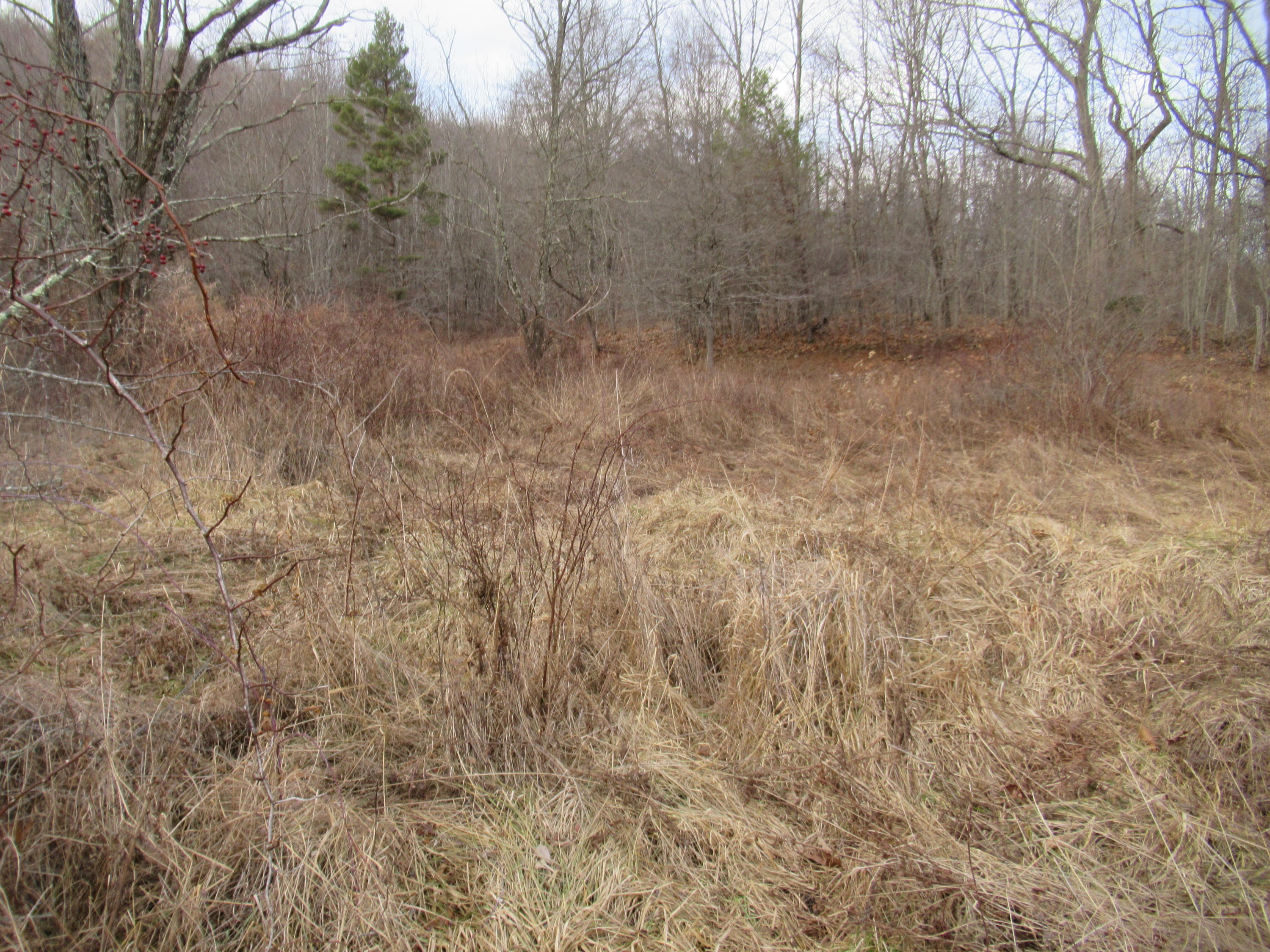 Loudermilk Road Crawley, WV 24931 - Photo 1 of 17 Gallery Image 1