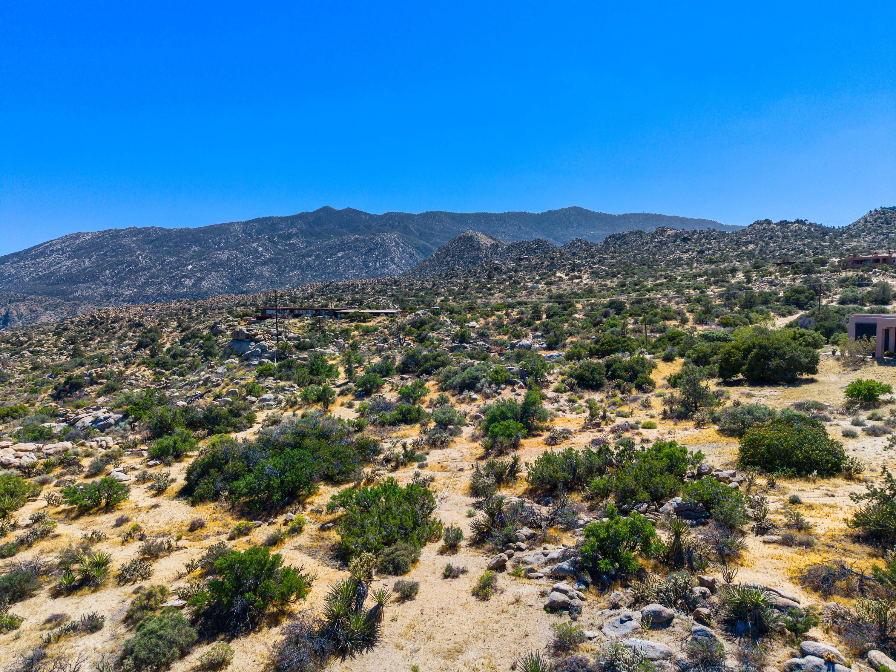 Lot 16 Carrizo Road Mountain Center, CA 92561 - Photo 21 of 23 a view of a city with mountains in the background